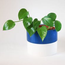Load image into Gallery viewer, Colour Pop Plant Pots