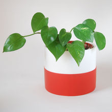 Load image into Gallery viewer, Colour Pop Plant Pots
