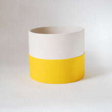 Load image into Gallery viewer, Colour Pop Plant Pots