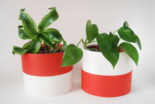 Load image into Gallery viewer, Colour Pop Plant Pots