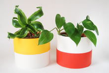 Load image into Gallery viewer, Colour Pop Plant Pots