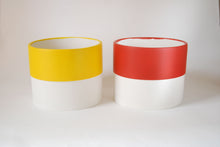 Load image into Gallery viewer, Colour Pop Plant Pots