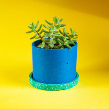 Load image into Gallery viewer, medium blue plant pot with green tray and succulent
