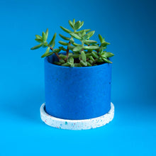 Load image into Gallery viewer, medium blue plant pot with white tray and succulent
