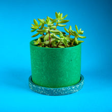 Load image into Gallery viewer, green house plant pot with teal tray and succulent
