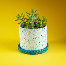 Load image into Gallery viewer, white terrazzo planter with teal tray and succulent
