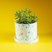 Load image into Gallery viewer, white terrazzo planter with white tray and succulent
