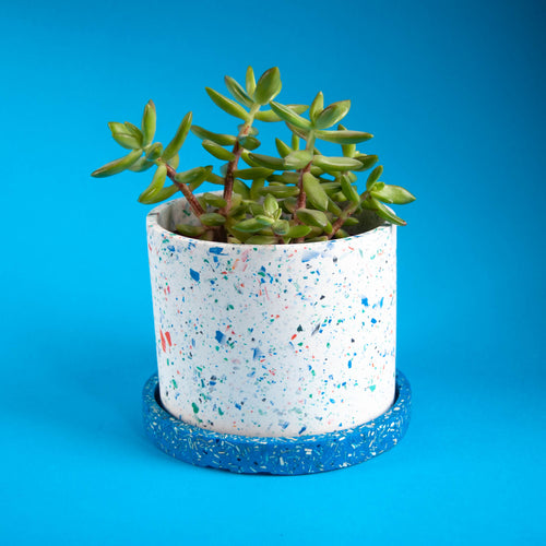 white terrazzo planter with blue tray and succulent