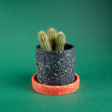 Load image into Gallery viewer, small black plant pot with orange saucer and cactus
