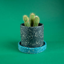 Load image into Gallery viewer, small black plant pot with teal saucer and cactus
