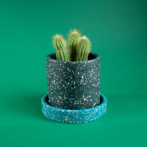 small black plant pot with teal saucer and cactus