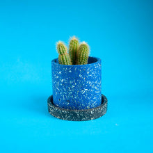 Load image into Gallery viewer, small blue cactus pot with black tray
