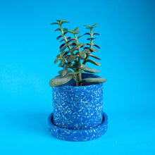 Load image into Gallery viewer, small blue cactus pot with blue tray
