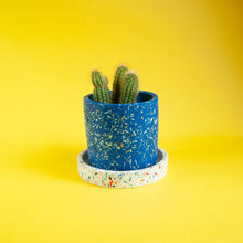 Load image into Gallery viewer, small blue cactus pot with white tray
