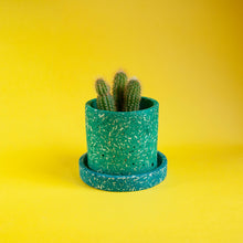 Load image into Gallery viewer, small green plant pot with teal tray and cactus
