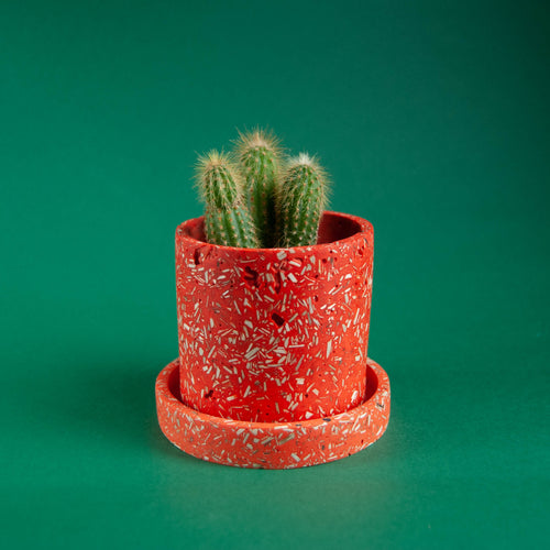 orange plant pot with orange tray and cactus