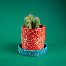 Load image into Gallery viewer, orange plant pot with teal tray and cactus
