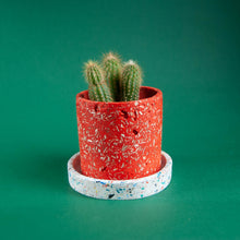 Load image into Gallery viewer, orange plant pot with white tray and cactus
