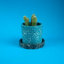 Load image into Gallery viewer, teal plant pot with black tray and cactus
